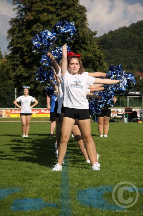 Klicken für Bild in voller Größe