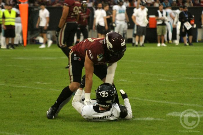 Klicken für Bild in voller Größe