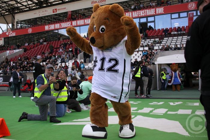 Klicken für Bild in voller Größe