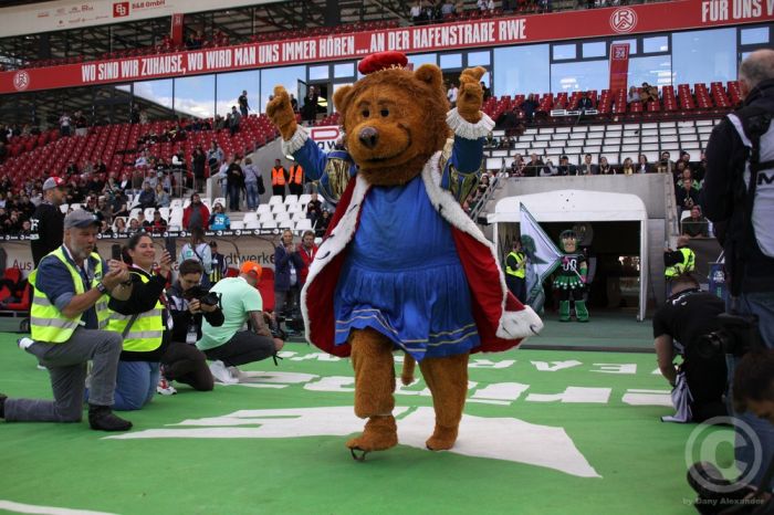 Klicken für Bild in voller Größe