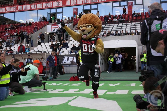 Klicken für Bild in voller Größe