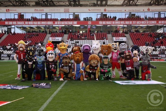 Klicken für Bild in voller Größe