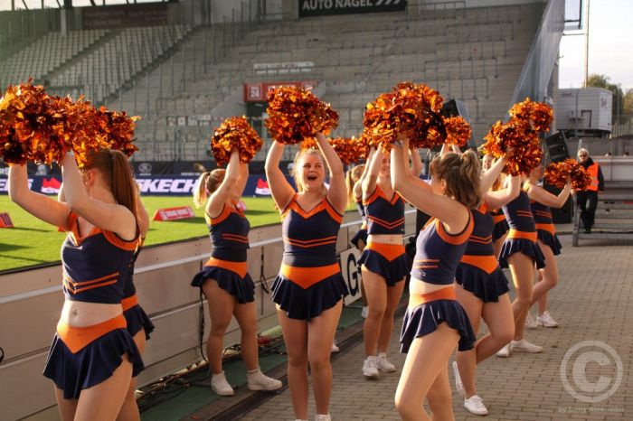 Klicken für Bild in voller Größe