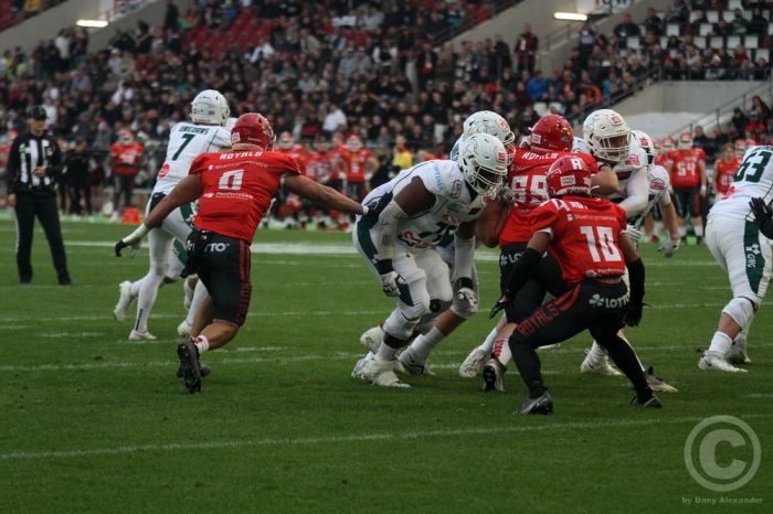 Klicken für Bild in voller Größe